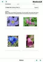Vorschau - Arbeitsblätter - Blüten - Arbeitsblätter mit Lösungen - Seite 2