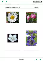 Vorschau - Arbeitsblätter - Blüten - Arbeitsblätter mit Lösungen - Seite 3