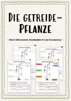 Vorschau - Arbeitsblätter - Getreide - Pflanze - 2fach-differenzierte ABs - Deckblatt