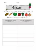 Vorschau - Arbeitsblätter - Gemüse Materialpaket - Seite 1