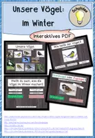Vorschau - Interaktives Material - Vögel Winter Standvögel Zugvögel - interaktives PDF - Deckblatt