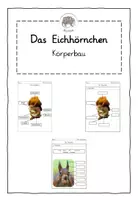 Vorschau - Arbeitsblätter - Das Eichhörnchen: Körperbau (differenzierte ABBs und Übersicht) - Deckblatt