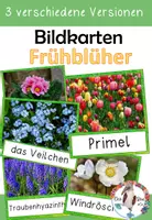 Vorschau - Poster - Frühblüher - Bildkarten / Flashcards - Deckblatt
