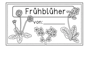 Vorschau - Arbeitsblätter - Flip Book Frühblüher - zweifach differenzierte Bastelvorlage - Seite 2
