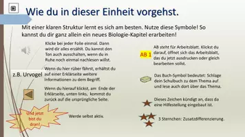 Vorschau - Arbeitsblätter - Vögel zum Selbstlernen - Seite 2
