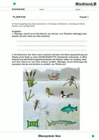 Vorschau - Arbeitsblätter - Ökosystem See - Arbeitsblätter mit Lösungen - Deckblatt