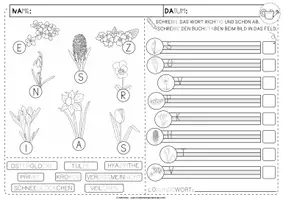 Vorschau - Arbeitsblätter - Mini-Lesespur Frühblüher | 1. Klasse | differenziert - Seite 3