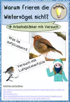 Vorschau - Arbeitsblätter - Warum frieren Vögel im Winter nicht - Deckblatt