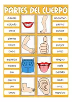 Vorschau - Spiele - Partes del cuerpo Klammerkarten Spanisch - Seite 2