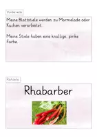Vorschau - Stationenlernen - Rätselkarten saisonales Obst und Gemüse (HSU) - Seite 2