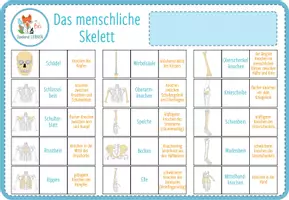 Vorschau - Spiele - Knochen und Skelett – Digitale Zuordnungsaktivität für Computer & iPad - Seite 1