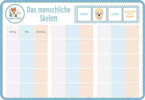 Vorschau - Spiele - Knochen und Skelett – Digitale Zuordnungsaktivität für Computer & iPad - Seite 3