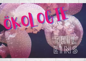 Vorschau - Poster - Grundlagen der Ökologie - Teil 1 - Seite 1