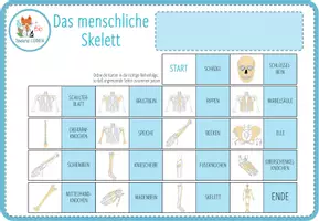 Vorschau - Arbeitsblätter - Knochen und Skelett – 4x digitale Spiele und Aktivitäten für Computer & iPad - Seite 3