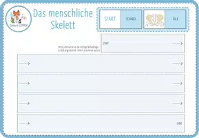 Vorschau - Spiele - Knochen und Skelett – Digitales Domino Spiel für Computer & iPad - Seite 3