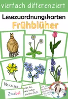 Vorschau - Bildkarten - Frühblüher - Lese- und Zuordnungskarten - vierfach differenziert - Deckblatt
