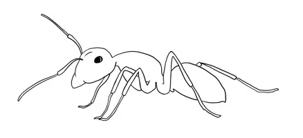 Vorschau - selbst erstellte Cliparts/Grafiken - Clipartpaket Insekten - Seite 2