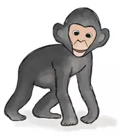 Vorschau - selbst erstellte Cliparts/Grafiken - Cliparts Exotische Tiere (Afrika, Amerika, Australien) - Seite 3