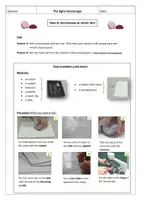 Vorschau - Arbeitsblätter - Bilingual Biology - Microscoping an onion skin - Seite 2