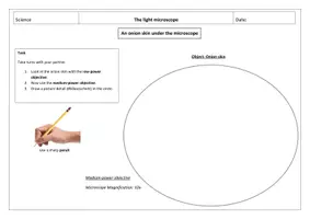 Vorschau - Arbeitsblätter - Bilingual Biology - Microscoping an onion skin - Seite 3