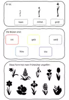 Vorschau - Arbeitsblätter - Frühblüher: Bestimmen - Feldnotizen/Nature Journal/Beobachten (differenziert) - Seite 2