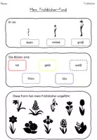 Vorschau - Arbeitsblätter - Frühblüher: Bestimmen - Feldnotizen/Nature Journal/Beobachten (differenziert) - Seite 3