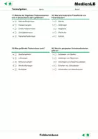 Vorschau - Test - Fledermäuse - Testaufgaben mit Lösungen - Seite 3
