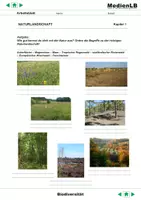 Vorschau - Arbeitsblätter - Biodiversität - Arbeitsblätter mit Lösungen - Seite 2