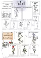Vorschau - Arbeitsblätter - Herbarium Wiesenpflanzen - Steckbriefe für gepresste Blüten - Seite 1