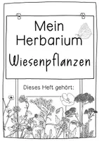 Vorschau - Arbeitsblätter - Herbarium Wiesenpflanzen - Steckbriefe für gepresste Blüten - Seite 2