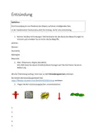 Vorschau - Arbeitsblätter - AB Entzündung - Deckblatt