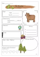 Vorschau - Arbeitsblätter - Steckbrief zum Braunbär - Seite 2