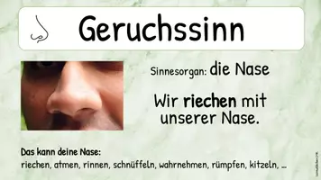 Vorschau - Stationenlernen - Materialpaket - die 5 Sinne - Seite 3