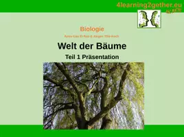 Vorschau - Arbeitsblätter - Welt der Bäume / Bearb. Word, PDF & PPP - Seite 2