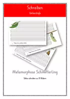 Vorschau - Arbeitsblätter - Metamorphose Schmetterling: freies Sätze schreiben (editierbar) - Deckblatt