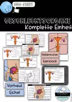 Vorschau - Stundenentwürfe - Sexualkunde - PAKET - Seite 1