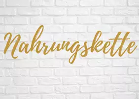 Vorschau - Arbeitsblätter - (Ausschließlich Begriffskarten für Strukturlegemethode) Kostproben Neurobiologie, Ökologie, Evolution und Genetik - Seite 2