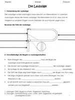 Vorschau - Arbeitsblätter - Arbeitsblätter zur Laubsäge - Seite 3