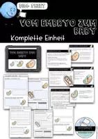 Vorschau - Stundenentwürfe - Sexualkunde - Vom Embryo zum Baby - Deckblatt