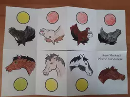 Vorschau - Arbeitsblätter - Faltbuch Pferde-Verhalten - Seite 3