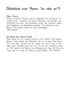 Vorschau - Test - 2 Diktate Rechtschreibthema "Äu oder eu?" - Deckblatt