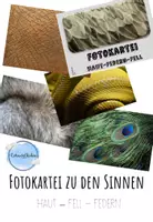 Vorschau - Spiele - Fotokartei zu den Sinnen - Haut, Haare, Federn - Deckblatt
