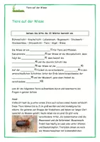 Vorschau - Spiele - Tiere auf der Wiese Texte Aufgaben Lösungen Spiele - Seite 2