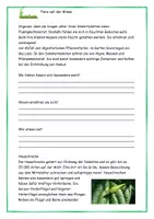 Vorschau - Spiele - Tiere auf der Wiese Texte Aufgaben Lösungen Spiele - Seite 3