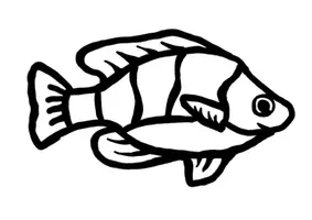 Vorschau - Stundenentwürfe - KUNST Schritt für Schritt: Fisch-Fensterbilder mit 6 Vorlagen (Seidenpapierbastelarbeit)) - Seite 2