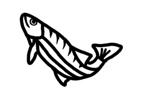 Vorschau - Stundenentwürfe - KUNST Schritt für Schritt: Fisch-Fensterbilder mit 6 Vorlagen (Seidenpapierbastelarbeit)) - Seite 3