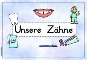 Vorschau - Poster - Zähne und Zahngesundheit - Reihentransparenz - Seite 2