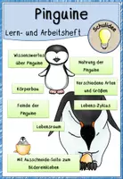 Vorschau - Arbeitsblätter - Pinguin Wissen: Lern- und Arbeitsheft - Deckblatt