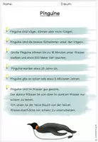 Vorschau - Arbeitsblätter - Pinguin Wissen: Lern- und Arbeitsheft - Seite 3