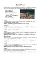 Vorschau - Stundenentwürfe - DEUTSCH: Die Zeitformen (Erklärung + 5 Übungsblätter) - Seite 1